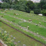 Coroas de Flores Cemitério Parque dos Girassóis – Osasco – SP