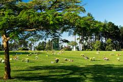 Coroas de Flores Cemitério Parque Jardim das Primaveras II – Guarulhos – SP