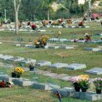 Coroas de Flores Cemitério Carmo – SP