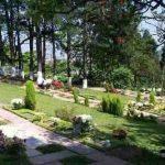 Coroas de Flores Cemitério Getsêmani Anhanguera – Anhanguera – SP