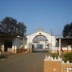 Coroas de Flores Cemitério Vila Formosa II -SP