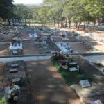 Coroas de Flores Cemitério Saudade – São Miguel Paulista – SP