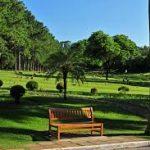 Coroas de Flores Cemitério Congonhas – Marajoara – SP