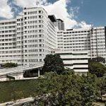 Coroas de Flores Hospital Beneficência Portuguesa – SP