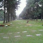 Coroas de Flores Cemitério Jardim das Flores – Cotia – SP