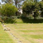 Coroas de Flores Cemitério Jardim Vale da Paz – Diadema – SP