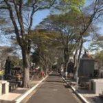 Cemitério Vila Euclides – São Bernardo do Campo – SP