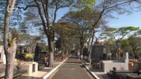 Coroas de Flores Cemitério Vila Euclides – São Bernardo do Campo – SP