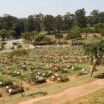 Coroas de Flores Cemitério Itaquera – SP