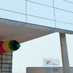 Coroas de Flores Instituto de Oncologia Pediátrica – GRAACC/UNIFESP – SP