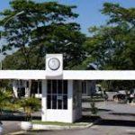 Coroas de Flores Cemitério Memorial Jardim  – Santo André – SP