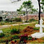 Coroas de Flores Cemitério São Luís- Jardim São Luís – SP