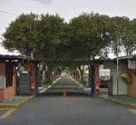 Coroas de Flores Cemitério Vila Paulicéia – São Bernardo do Campo – SP