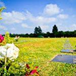Coroas de Flores Cemitério Parque dos Girassóis Parelheiros – SP