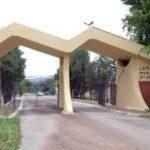 Coroas de Flores Cemitério Municipal