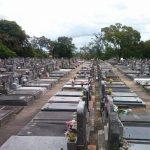 Coroas de Flores Cemitério Municipal São João