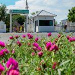 Cemitério Nossa Senhora da Conceição