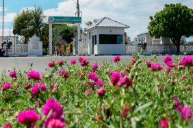 Coroas de Flores Cemitério Nossa Senhora da Conceição