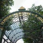 Coroas de Flores Cemitério São João Batista – Manaus