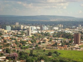 coroa-de-flores-aparecida-de-goiania