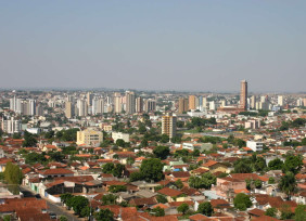 coroa-de-flores-uberaba