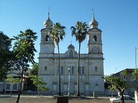 coroa-de-flores-bage