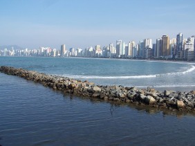 coroa-de-flores-balneario-camboriu