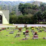 Coroas de Flores Cemitério Parque Jardim Das Flores Joinville – SC