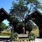 Cemitério Parque Vale dos Pinheirais Mauá – SP