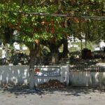 Coroas de Flores Cemitério São Lázaro de Itaipu Niterói – RJ