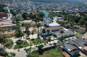 coroa-de-flores-niquelandia