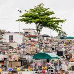 Cemitério São João dos Passos São José – SC