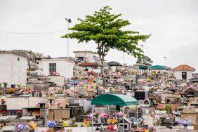 Coroas de Flores Cemitério São João dos Passos São José – SC