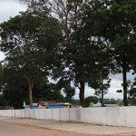 Coroa de Flores Cemitério Municipal de Presidente Médici – RO