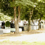 Coroa de Flores Cemitério São Francisco de Assis Arapiraca – AL
