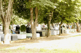 Coroa de Flores Cemitério São Francisco de Assis Arapiraca – AL