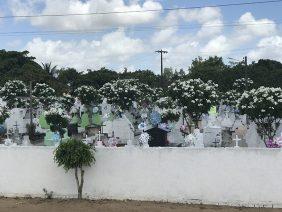 Coroa de Flores Cemitério Municipal de Tapauá – AM