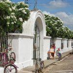 Coroa de Flores Cemitério Municipal de Augusto Corrêa – PA