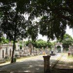 Coroa de Flores Cemitério Municipal de Bagre – PA