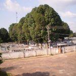 Coroa de Flores Cemitério Municipal de Moju – PA