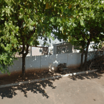 Coroa de Flores Cemitério Municipal de Palestina do Pará – PA