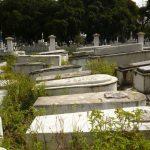 Coroa de Flores Cemitério Municipal de Santa Izabel do Pará – PA