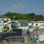 Coroa de Flores Cemitério Municipal de Santana – AP