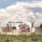 Coroa de Flores Cemitério Municipal Saboeiro – CE