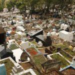 Coroa de Flores Cemitério de Brotas – Santa Isabel – SP