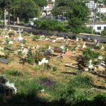 Coroa de Flores Cemitério Castanheiro – RJ