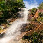 Coroa de Flores Cemitério das Almas – MG
