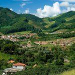 Coroa de Flores Cemitério Municipal de Araponga- MG
