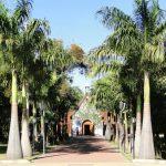 Coroa de Flores Cemitério São José – MG