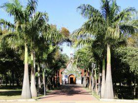 Coroa de Flores Cemitério São José – MG